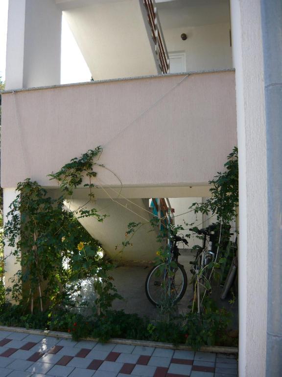 Apartments Dokovic Barbat na Rabu Εξωτερικό φωτογραφία